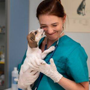 🐶 Profissionalize seu Conteúdo com o Pack de Dermatologia Veterinária